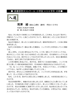 男澤 綾（PDFファイル 108.6KB）