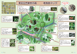 （愛荘自然観察の森 散策マップ）〔PDF 1.17MB〕