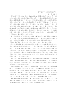 日本語（PDF 117KB）