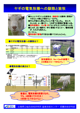 「ヤギの電気牧柵への馴致と放牧」 (PDFファイル)
