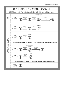 ヒブ・小児用肺炎球菌接種スケジュールフローチャート（PDF：18KB）