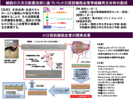 細胞の三次元配置技術に基づいた小口径脱細胞血管等組織再生材料の