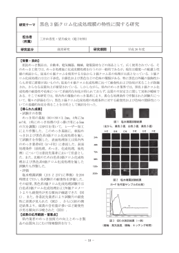 黒色3価クロム化成処理膜の特性に関する研究（PDF：580KB）