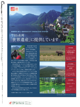C-magazine 2015年 秋号(vol.78)