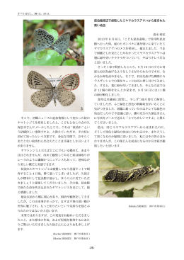 -26- そこで，初蝶ニュースの追加情報として変わった紋の ヤマトシジミを