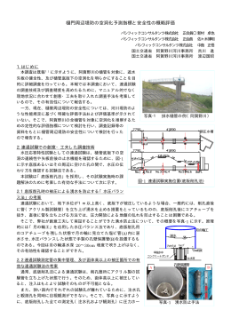 樋門周辺堤防の空洞化予測指標と安全性の概略評価