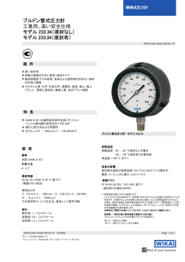 ブルドン管式圧力計 工業用、高い安全仕様 モデル 232.34（液封