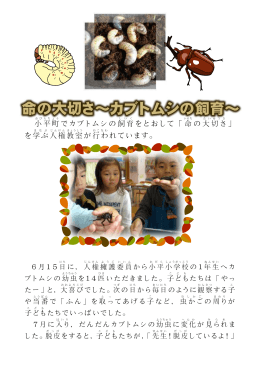 小平町でカブトムシの飼育をとおして「命の大切さ」 を学ぶ人権教室が行