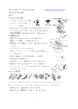 身近な生物の観察