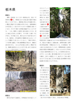栃木県 - 近世以前の土木・産業遺産