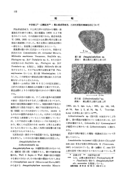 岡山県成羽南方, 川上町三沢の石灰岩から珊瑚 ー 紡 錘虫化石を産する