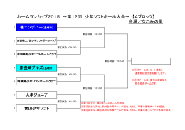 ホームランカップ2015 ～第12回 少年ソフトボール大会～ 【Aブロック