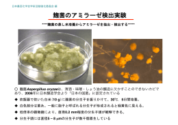 麹菌のアミラーゼ検出実験