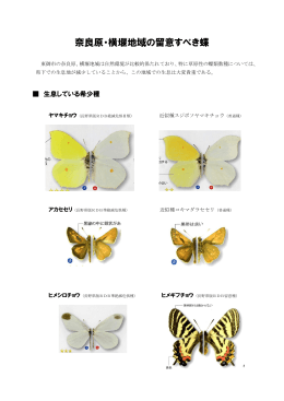 奈良原横堰の留意すべき蝶［PDF：327KB］