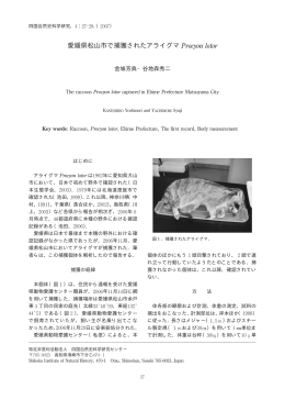PDFファイル - 四国自然史科学研究センター