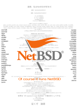 Of course it runs NetBSD
