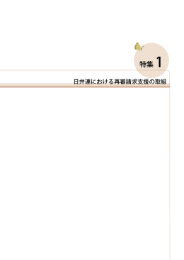 【特集1】日弁連における再審請求支援の取組（改訂2013年11月25日）