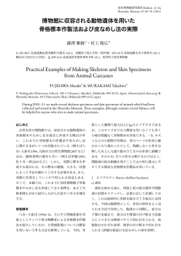 博物館 収容 動物遺体 用 骨格標本作製法 皮 法 実際