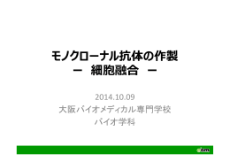 モノクローナル抗体の作製 ー 細胞融合 ー