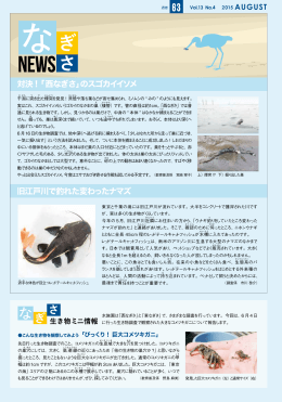 旧江戸川で釣れた変わったナマズ 対決 !「西なぎさ」のスゴカイイソメ