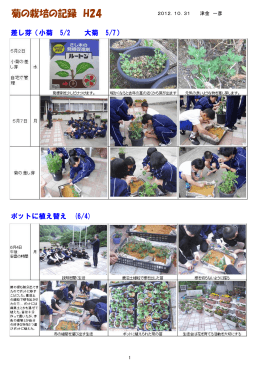 菊栽培の記録（PDF：1831KB）