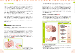 母乳分泌のオートクリン・コントロール