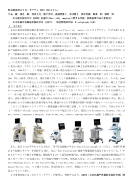 乳房超音波エラストグラフィ 2013（2013.2.14） 中島