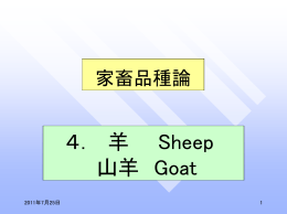 4． 羊 Sheep 山羊 Goat