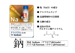塩（NaCl）の成分 英語 Sodium （アラビア語のsuda） ドイツ語 Natrium