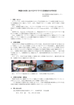 神通川水系におけるサクラマス交雑魚の分布状況