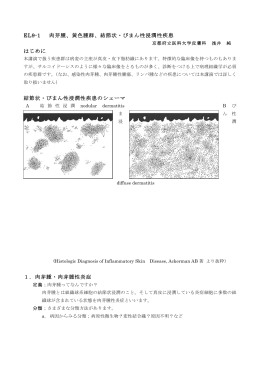 黄色腫群 - 日本皮膚病理組織学会