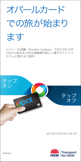 日本語のパンフレット(PDFファイル