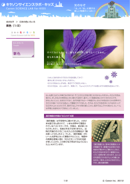 紫色（PDF:0.5MB）