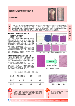 藍植物による赤紫染めの実用化