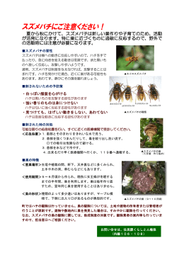 スズメバチに注意！（PDF）