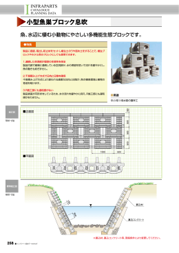 小型魚巣ブロック息吹 スク