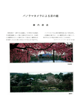 パノラマカメラによる京の庭〈誌上作品発表〉
