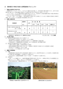プロジェクト3 契約取引で伸ばす新たな野菜産地プロジェクト（PDF：242KB）