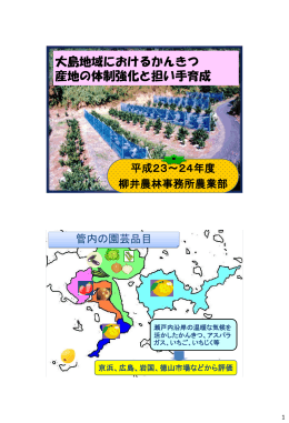 大島地域におけるかんきつ産地の体制強化と担い手育成(H24