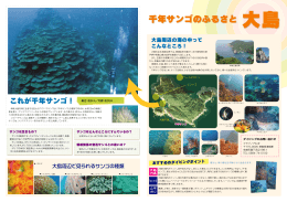 千年サンゴのふるさと 大島