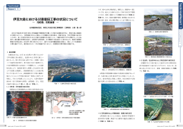伊豆大島における災害復旧工事の状況について