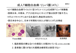 資料2 成人T細胞白血病・リンパ腫（ATL）