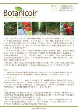 Japanese pdf for website (edited)