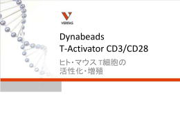 T-Activator CD3/CD28 プレゼンテーション