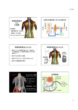 脊髄刺激療法 (miyagi-yasushi-no-macbook-air