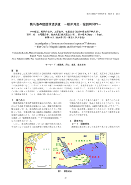 横浜港の底層環境調査 －根岸湾奥・堀割川河口－