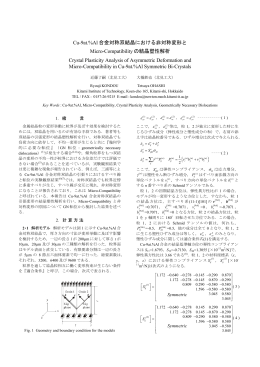 Cu-9at.%Al 合金対称双結晶における非対称変形と Micro
