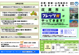 NTT西日本の資料(簡易版)