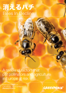 レポート「消えるハチ」 - Greenpeace