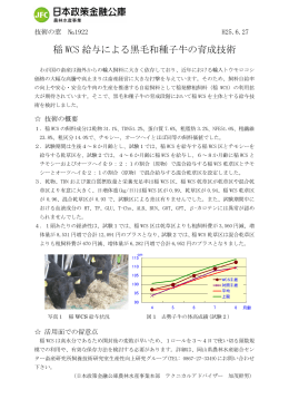 稲 WCS 給与による黒毛和種子牛の育成技術